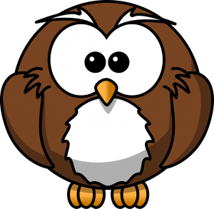 Owl PNG-26789